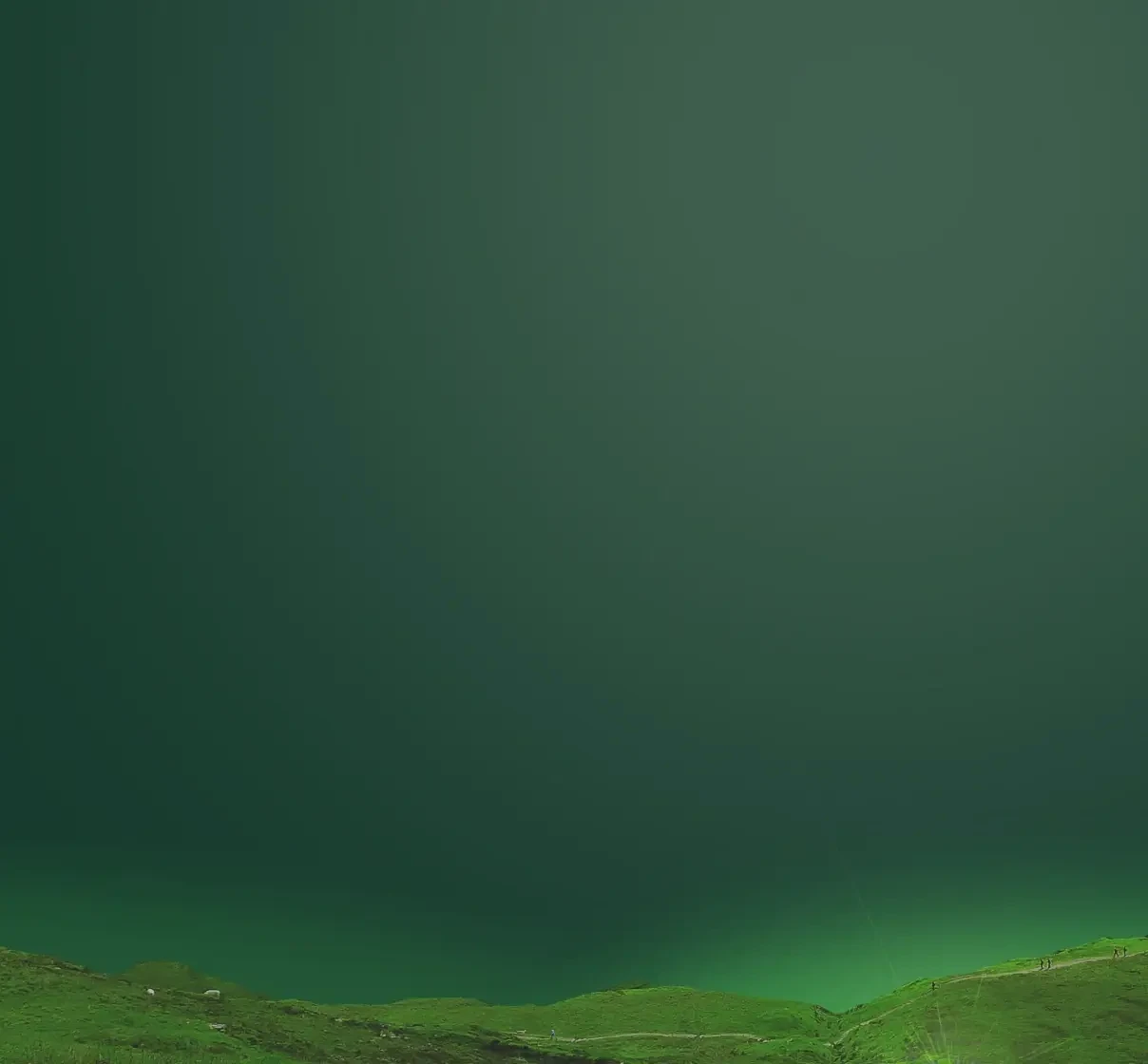 Grass Background